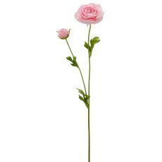 Ranunkel, 63cm, rosa