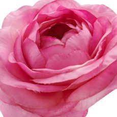 Ranunkel, 63cm, pink