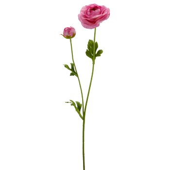 Ranunkel, 63cm, pink