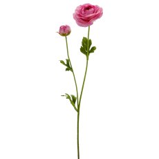 Ranunkel, 63cm, pink