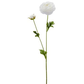 Ranunkel, 63cm, weiß