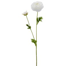 Ranunkel, 63cm, weiß
