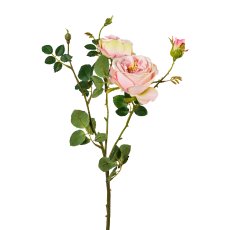 Rose Branch x 5 4/Poly, 63 cm,