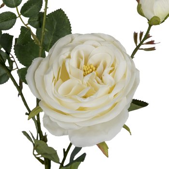 Rose branch x5 4/Poly, 63cm, white