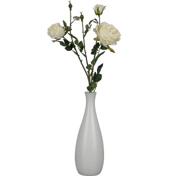 Rosenzweig x5 4/Poly, 63cm, creme