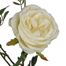 Rosenzweig x5 4/Poly, 63cm, creme