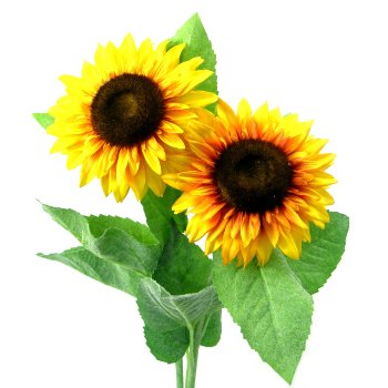 Sunflower Ø12cm, 58cm, yellow assorted