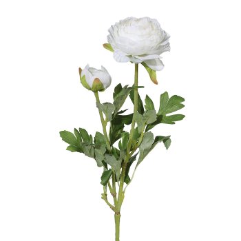 Ranunculus x2 6/Poly, 40cm, white
