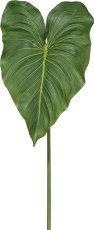 Calla Leaf, 75 cm