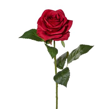 Rose, 53cm, rot