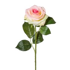 Rose, 53 cm, rosa