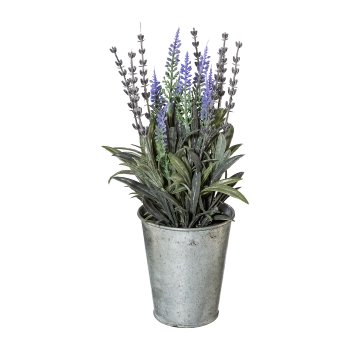 Lavender In Zinc Pot, 26cm