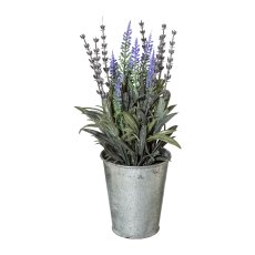 Lavender In Zinc Pot, 26 cm