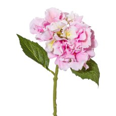 Mini Hydrangea, 33 cm, Pink