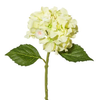 Mini Hydrangea, 33cm, green