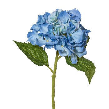 Mini Hydrangea, 33cm, blue