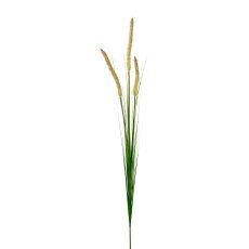 Penisetum Grass, 92cm, Green