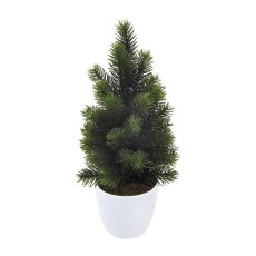 Little fir tree, approx 38cm, in ceramic pot 11cm white