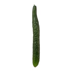 Cucumber 1/Poly, 37 cm