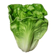 Head Of Lettuce 1/Poly, 18 cm