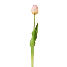 Tulpe , 44 cm, rosa