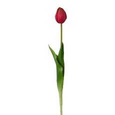Tulpe , 44 cm, pink