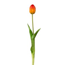Tulpe , 44 cm, orange