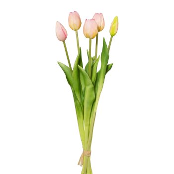 Tulip Bunch x 5, 45cm, Pink