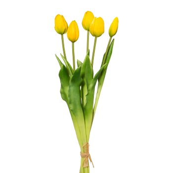 Tulip Bunch x 5, 45cm, Yellow