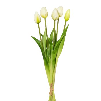 Tulip Bunch x 5, 45cm, White