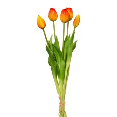 Tulip Bunch x 5, 45 cm, Orange