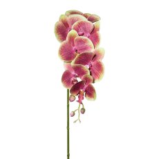 Phalaenopsis x 7 3D-print, 87cm, grün-braun, Real Touch