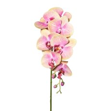 Phalaenopsis x 7 3D-print, 87cm, grün-rosa, Real Touch