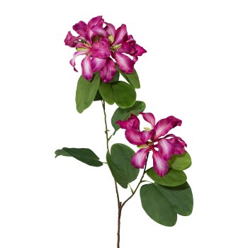 Bauhinia Branch, 87cm, Cerise