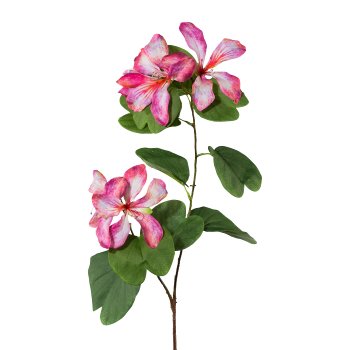 Bauhiniazweig, 87cm, rosa