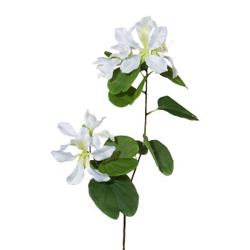 Bauhinia Branch, 87cm, White