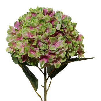 Hydrangea xxl 3D-Print, 111 cm, Green-Pink