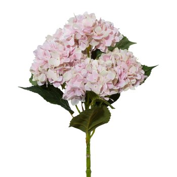 Hydrangea Trunk x 5 3D-Print, 63cm, Pink