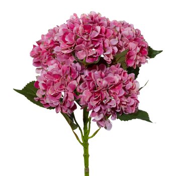 Hydrangea Trunk x 5 3D-Print, 63cm, Pink