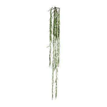 Hoya vine 1/poly, 109cm Green