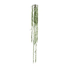 Hoya vine 1/poly, 109 cm Green
