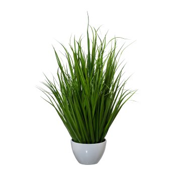 Miscanthus In Plastic Bowl, 96 cm