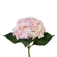 Hydrangea, 53 cm, Pink