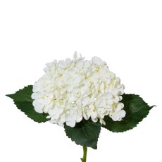 Hydrangea, 53cm, White