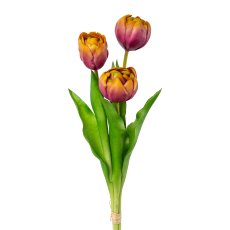 Gefüllte Tulpen, 3er Bund, 37