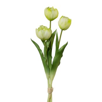 Gefüllte Tulpen, 3er Bund, 37cm, weiß