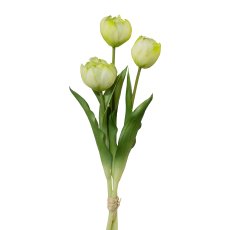 Gefüllte Tulpen, 3er Bund, 37