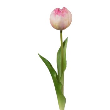 Filled Tulip, 37cm, Pink