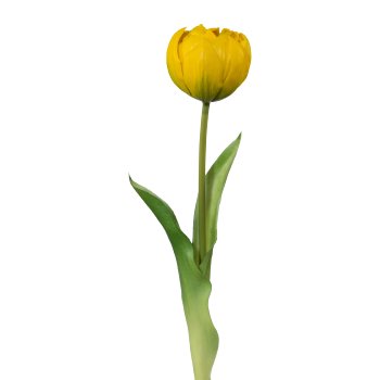 Filled Tulip, 37cm, Yellow