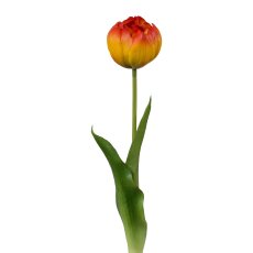 Filled tulip, 37cm, orange